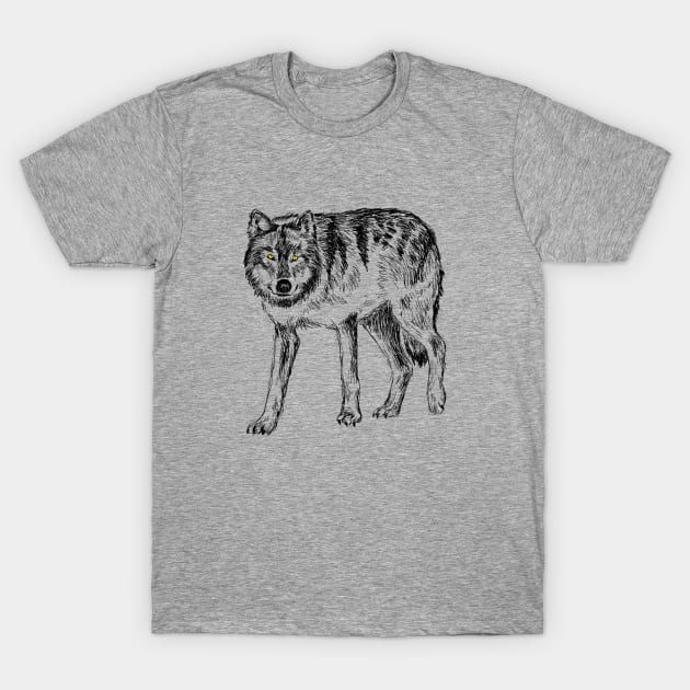 Wolf Image T-Shirt by rachelsfinelines